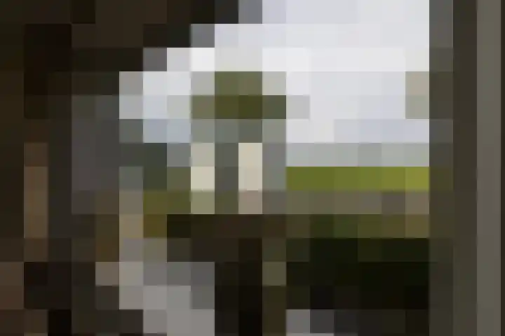 Oudlandweg 6 Oudenbosch thumbnail 9