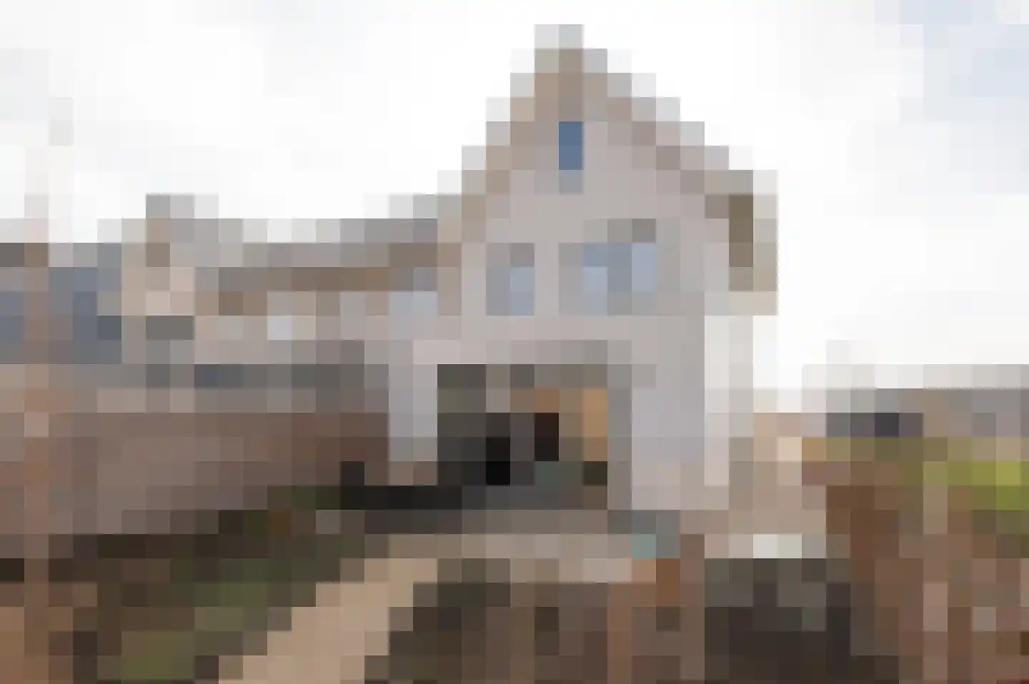 Oudmunsterhoef 106 Culemborg thumbnail 14