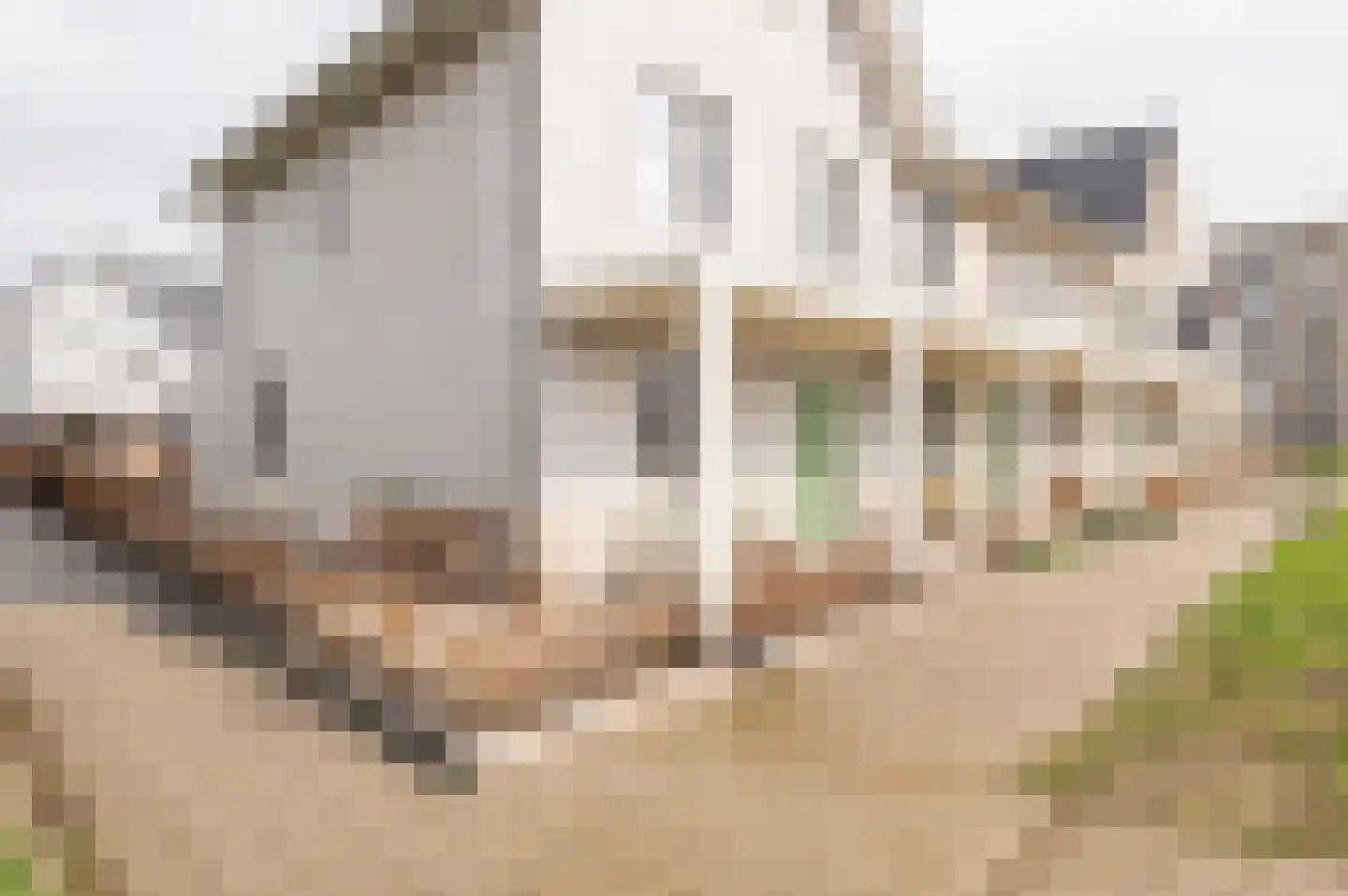 Oudmunsterhoef 106 Culemborg thumbnail 32