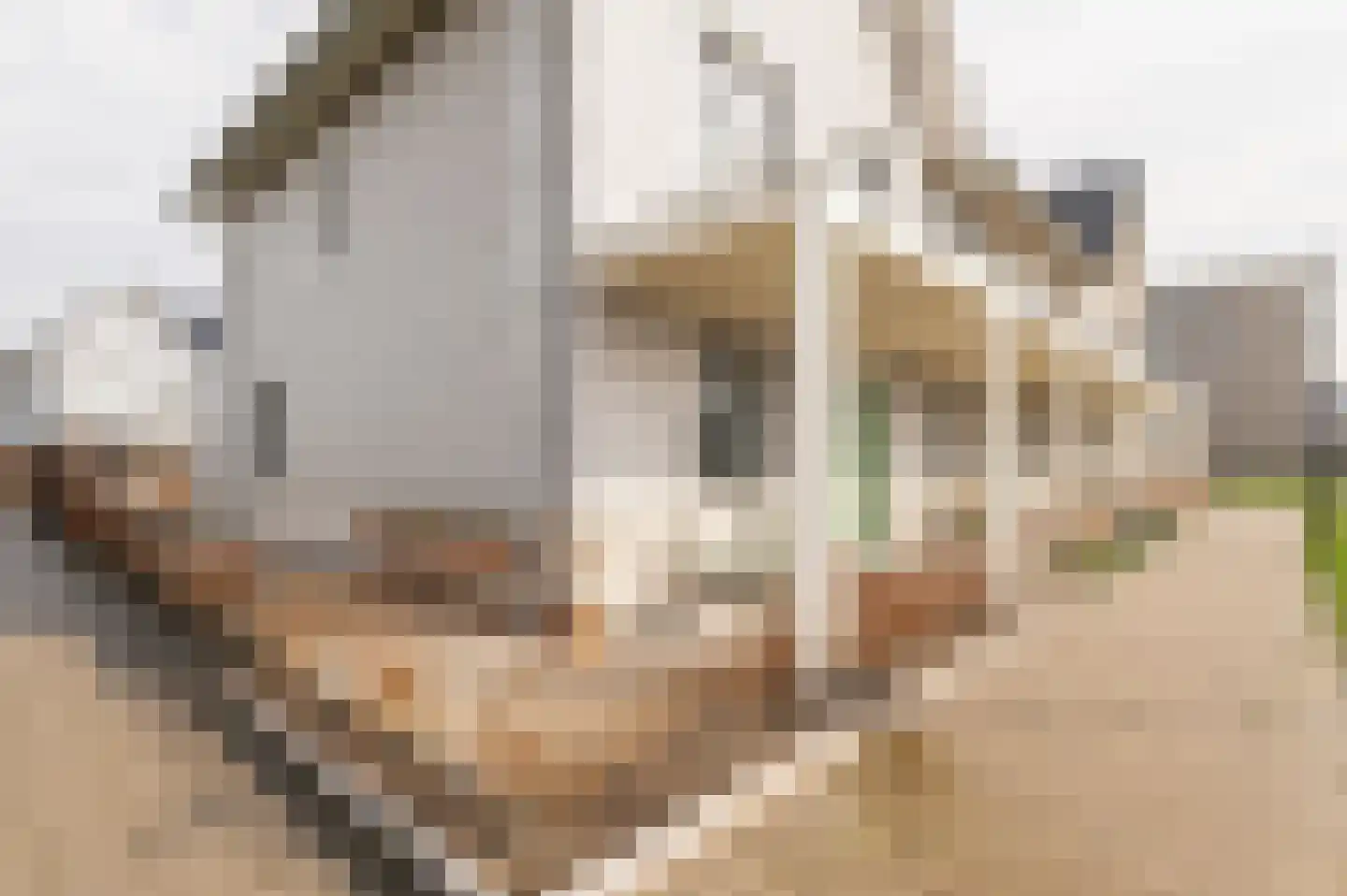 Oudmunsterhoef 106 Culemborg thumbnail 6