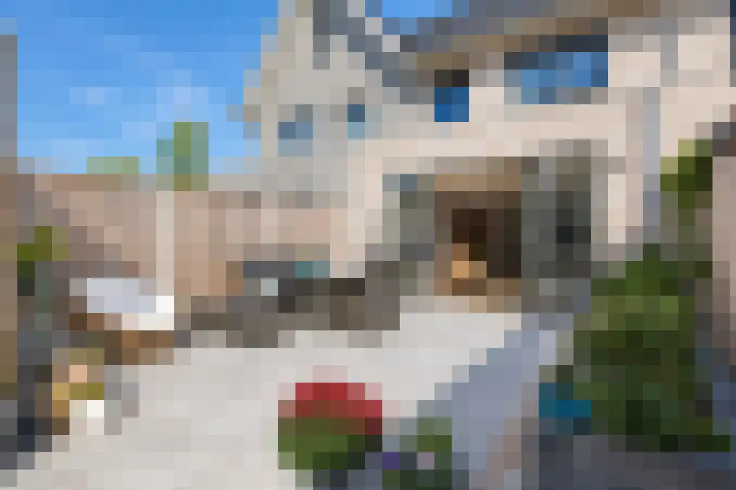 Oudmunsterhoef 41 Culemborg thumbnail 17