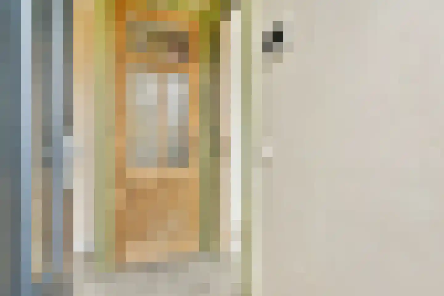 Oudorperdijkje 1 D Alkmaar thumbnail 10