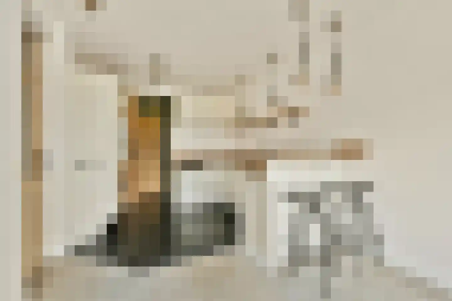 Oudorperdijkje 1 D Alkmaar thumbnail 13