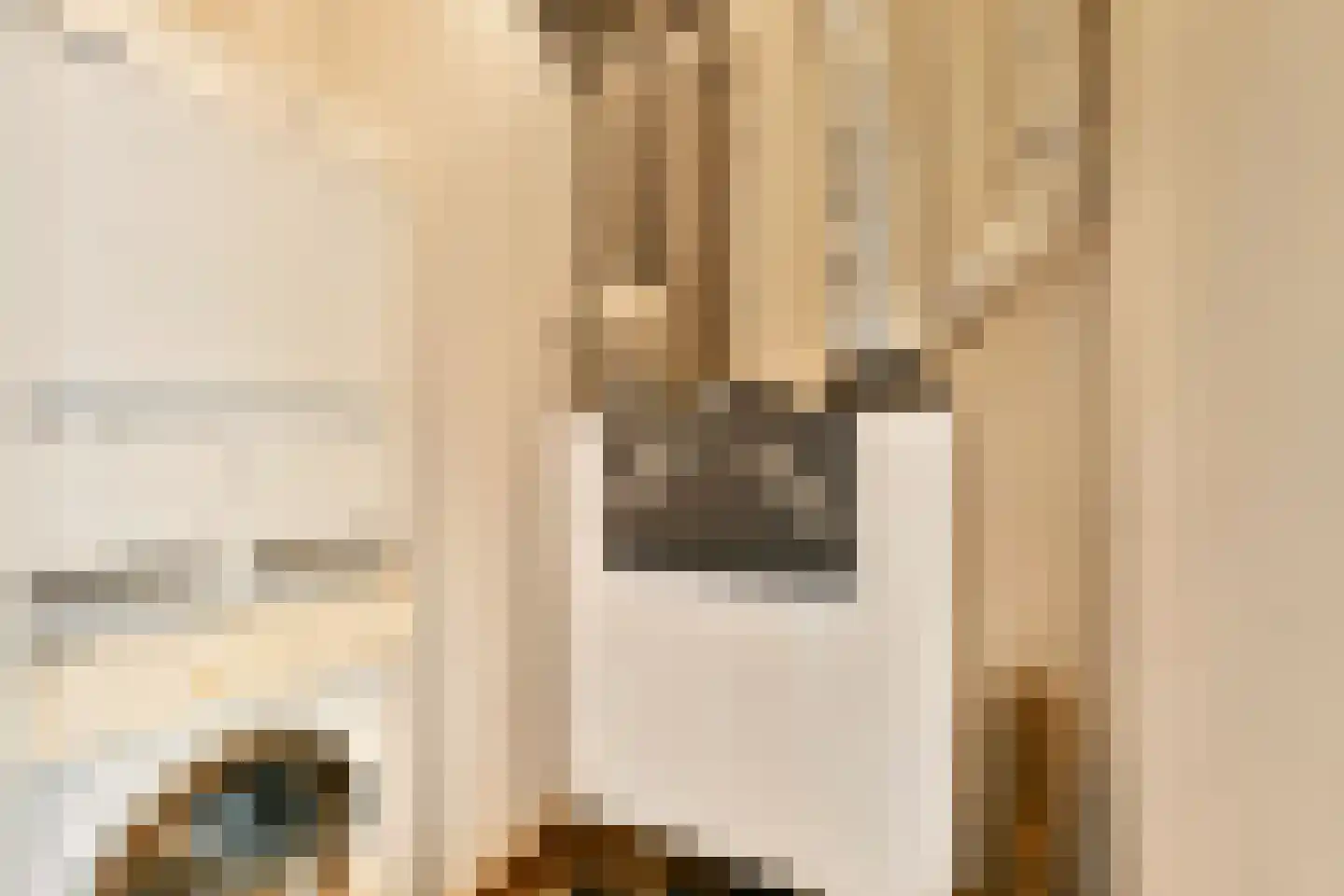 Oudorperdijkje 1 D Alkmaar thumbnail 23
