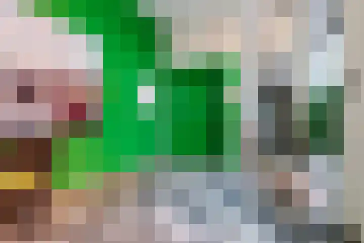 Oudorperplein 40 Alkmaar thumbnail 27