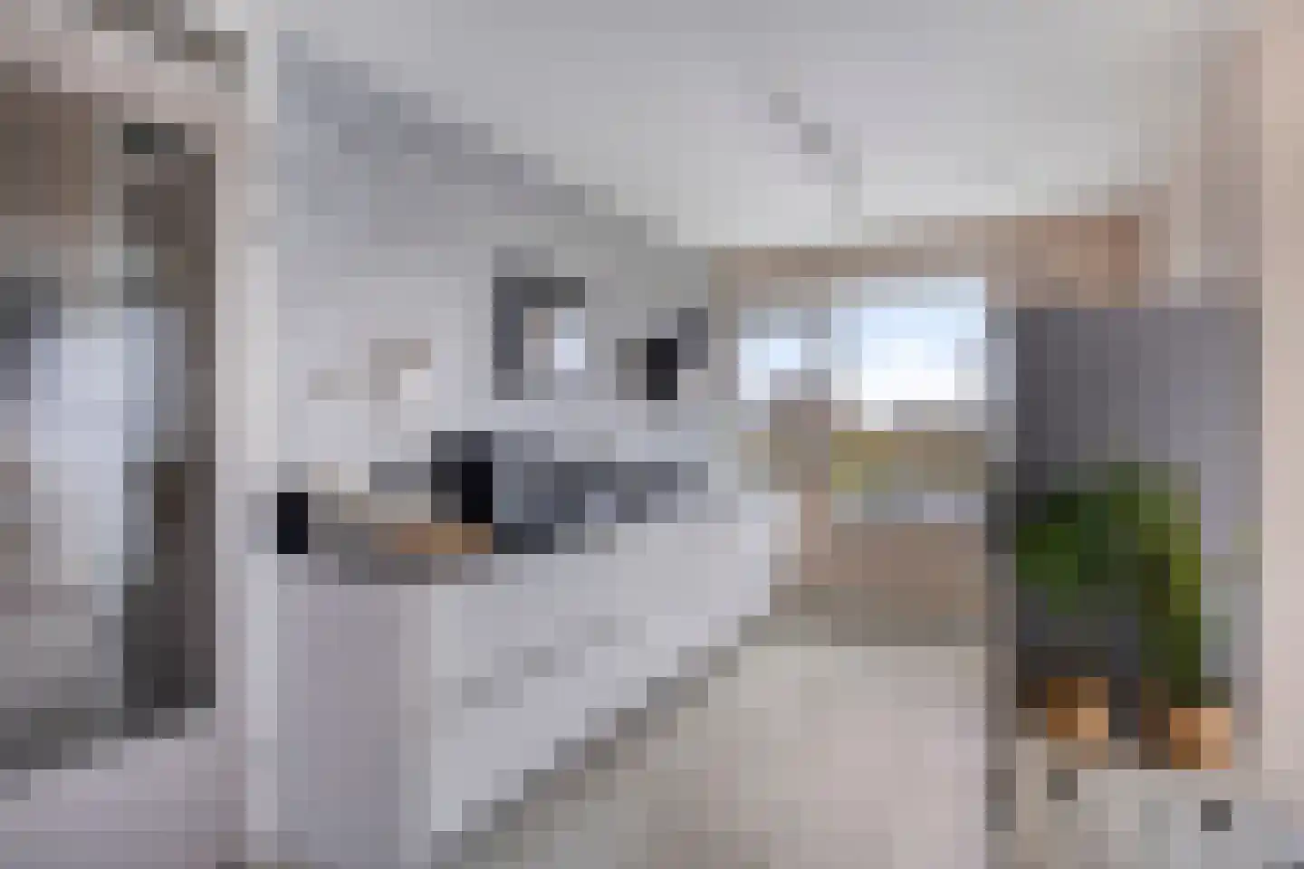 Oudorperplein 44 Alkmaar thumbnail 15