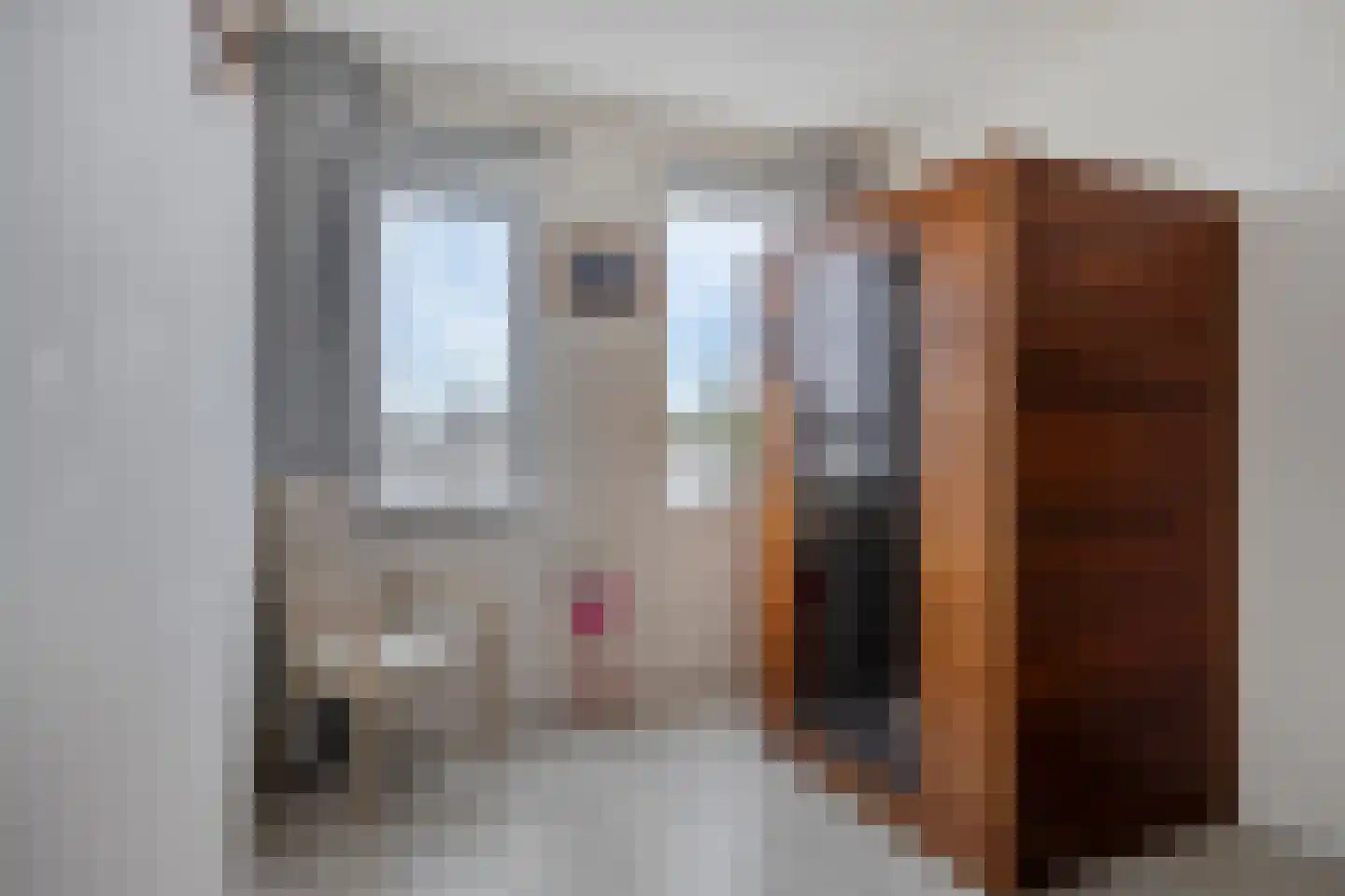 Oudorperplein 44 Alkmaar thumbnail 23