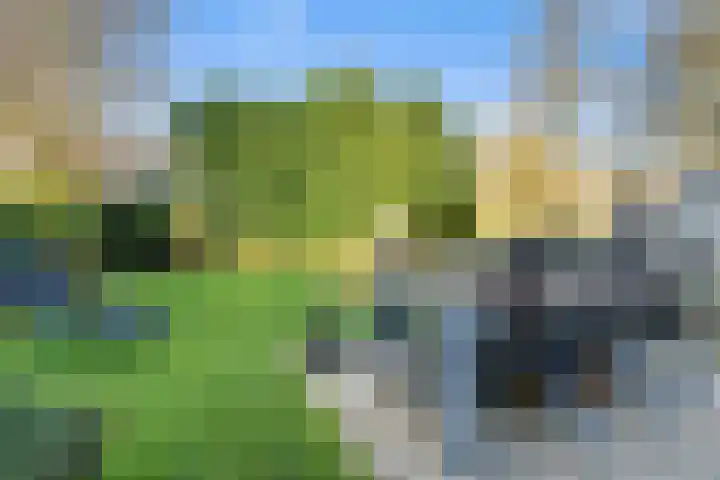 Oudoverstede 6 's-Hertogenbosch thumbnail 30
