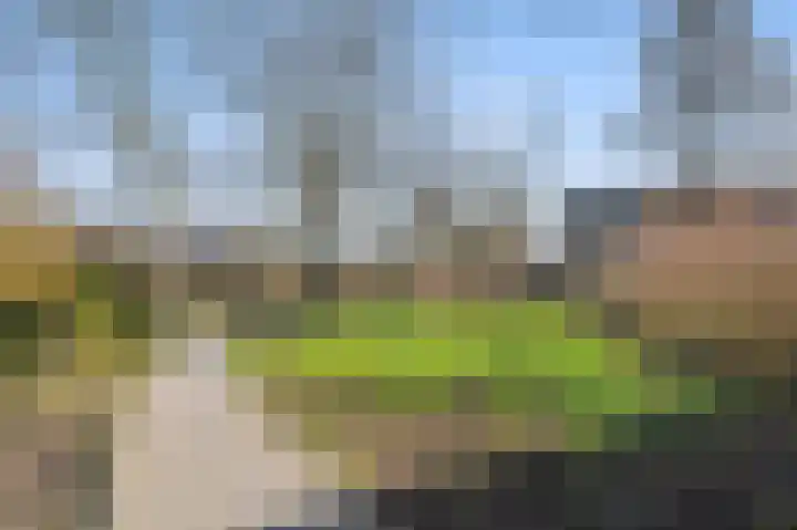 Oudoverstede 6 's-Hertogenbosch thumbnail 38
