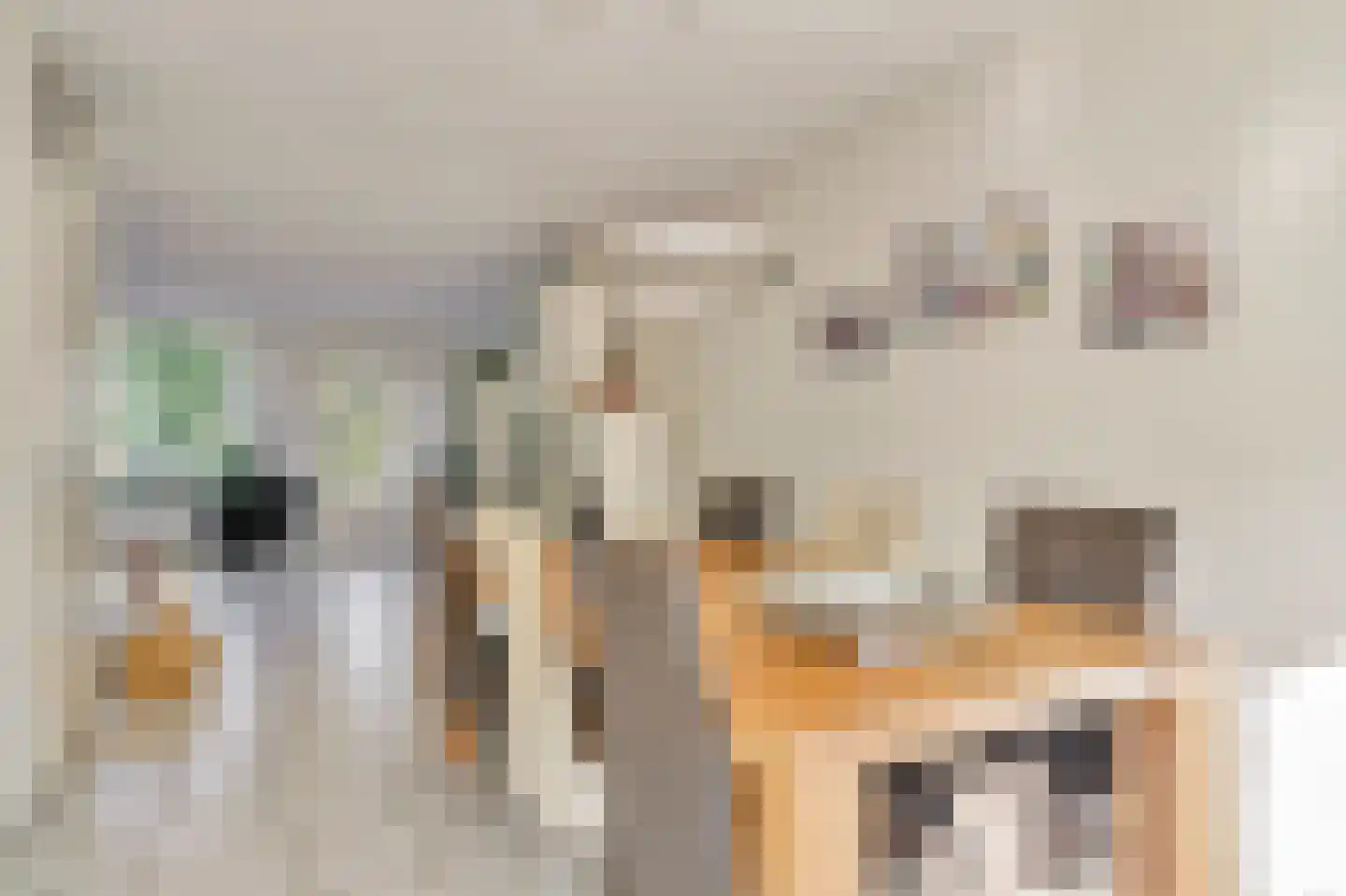 Oudoverstede 6 's-Hertogenbosch thumbnail 7