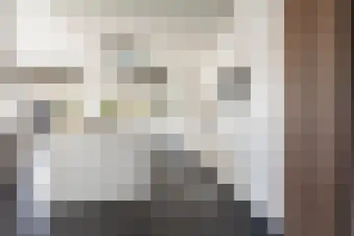 Oudshoornstraat 12 Zoetermeer thumbnail 12