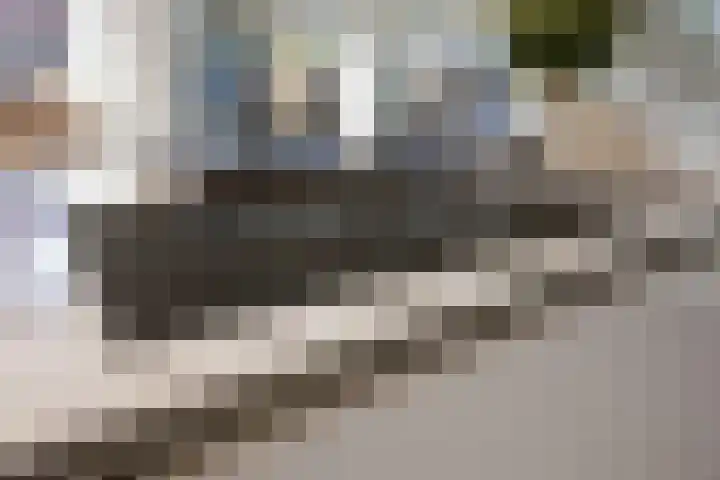 Oudshoornstraat 12 Zoetermeer thumbnail 14