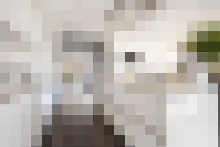Oudshoornstraat 12 Zoetermeer thumbnail 15