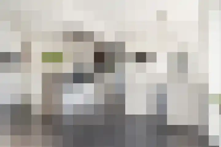 Oudshoornstraat 12 Zoetermeer thumbnail 16