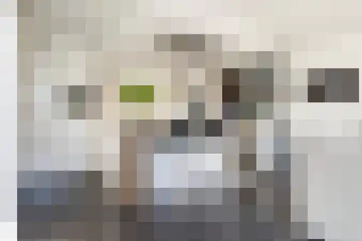 Oudshoornstraat 12 Zoetermeer thumbnail 17