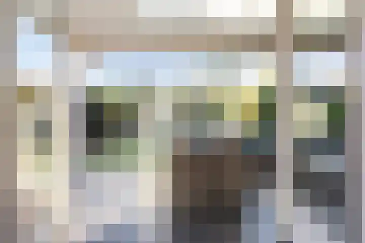 Oudshoornstraat 12 Zoetermeer thumbnail 18