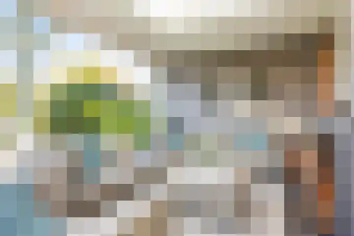 Oudshoornstraat 12 Zoetermeer thumbnail 19