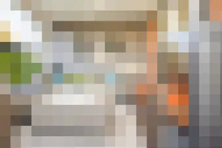 Oudshoornstraat 12 Zoetermeer thumbnail 20