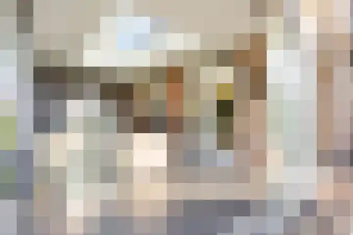 Oudshoornstraat 12 Zoetermeer thumbnail 21