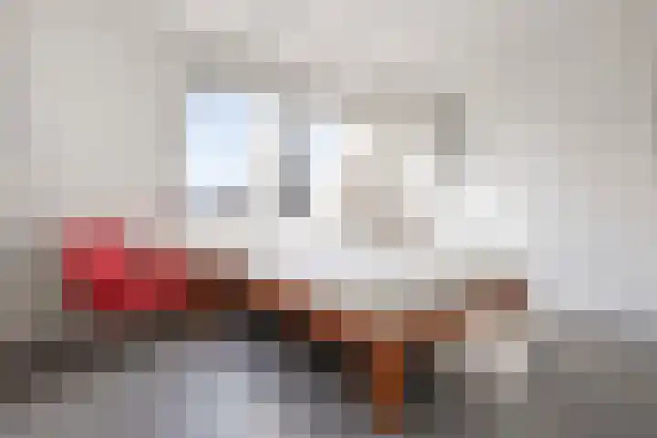 Oudshoornstraat 12 Zoetermeer thumbnail 32