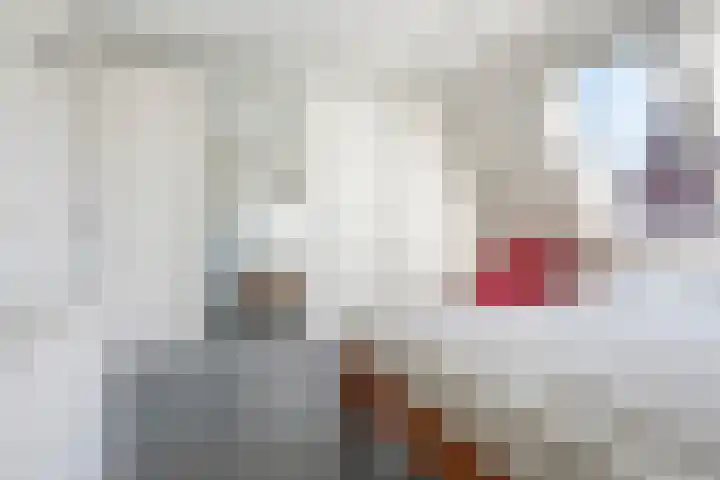 Oudshoornstraat 12 Zoetermeer thumbnail 33