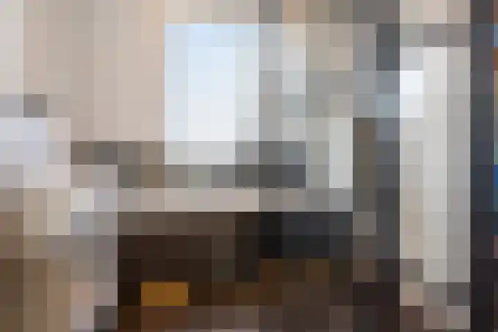 Oudshoornstraat 12 Zoetermeer thumbnail 34
