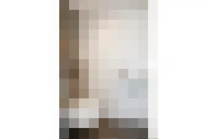 Oudshoornstraat 12 Zoetermeer thumbnail 36