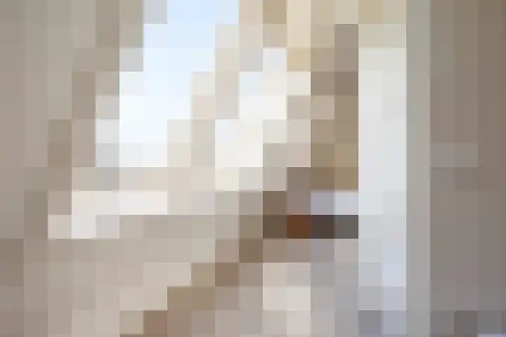 Oudshoornstraat 12 Zoetermeer thumbnail 40