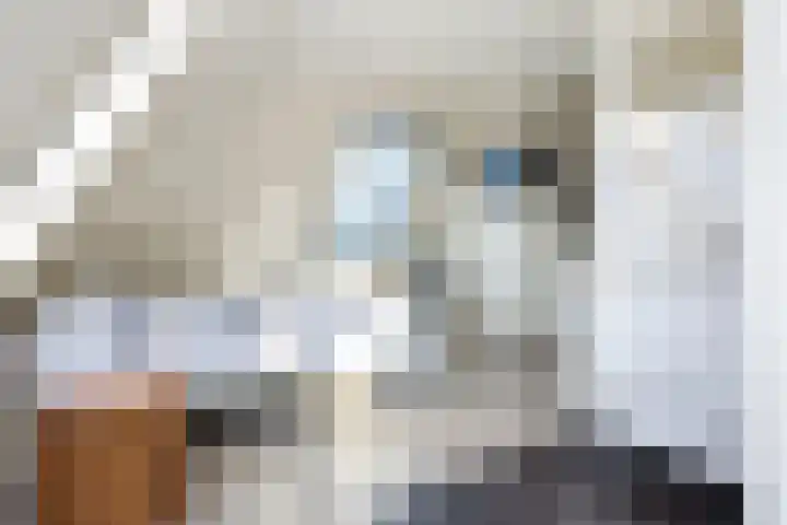 Oudshoornstraat 12 Zoetermeer thumbnail 41