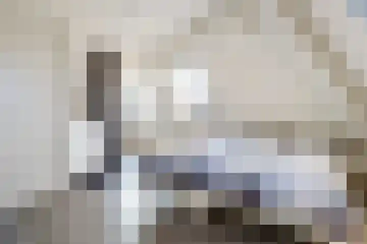 Oudshoornstraat 12 Zoetermeer thumbnail 42