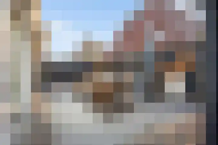 Oudshoornstraat 12 Zoetermeer thumbnail 49