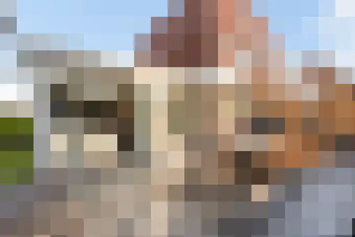 Oudshoornstraat 12 Zoetermeer thumbnail 50