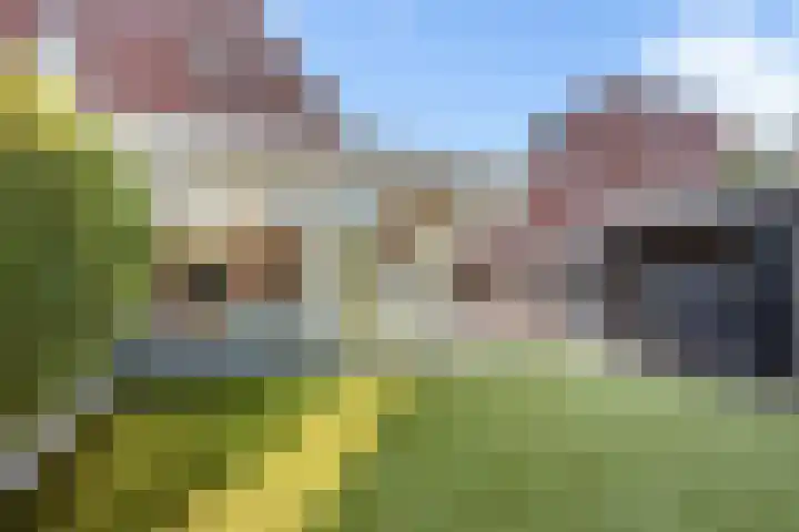 Oudshoornstraat 12 Zoetermeer thumbnail 54