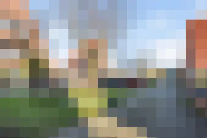 Oudshoornstraat 12 Zoetermeer thumbnail 59
