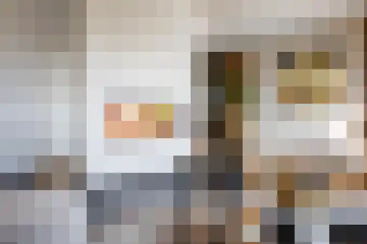 Oudshoornstraat 12 Zoetermeer thumbnail 6