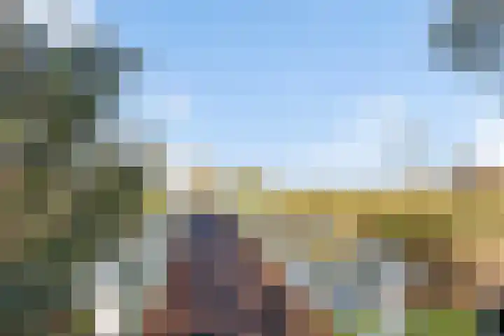 Oudshoornstraat 12 Zoetermeer thumbnail 64