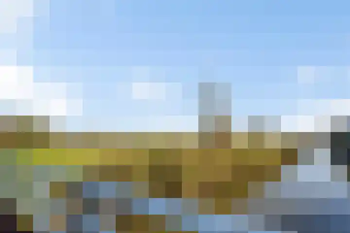Oudshoornstraat 12 Zoetermeer thumbnail 65