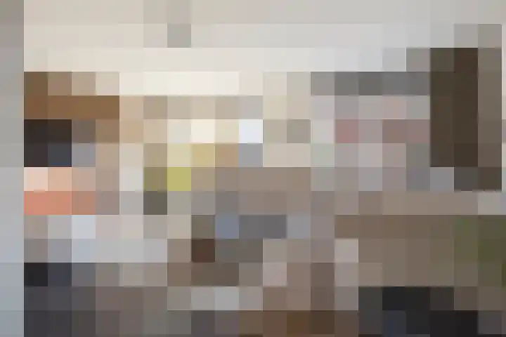 Oudshoornstraat 12 Zoetermeer thumbnail 7
