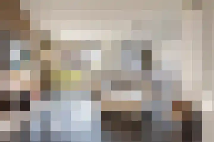 Oudshoornstraat 12 Zoetermeer thumbnail 8
