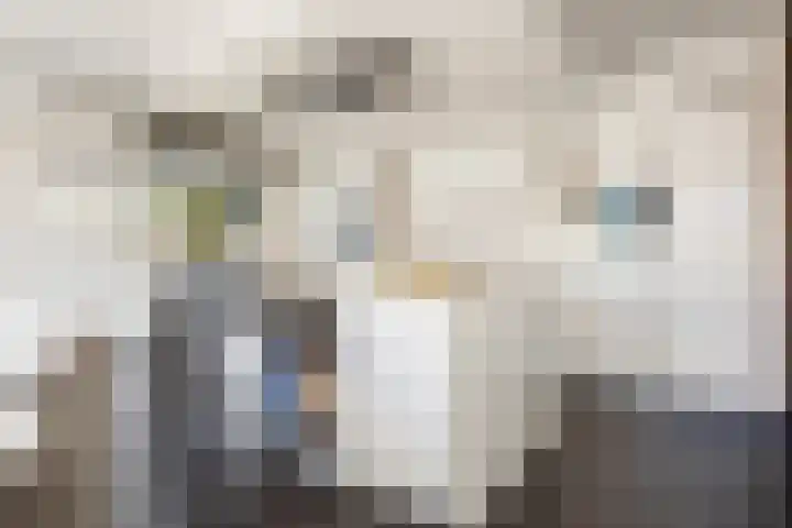 Oudshoornstraat 12 Zoetermeer thumbnail 9