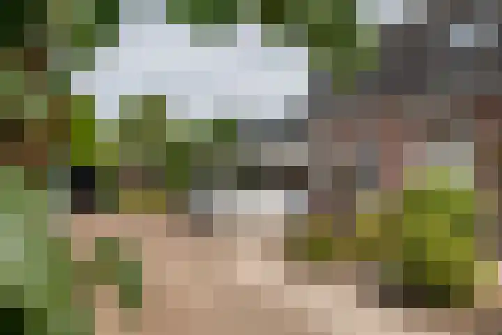Oudsmidsestraat 15 Lienden thumbnail 18