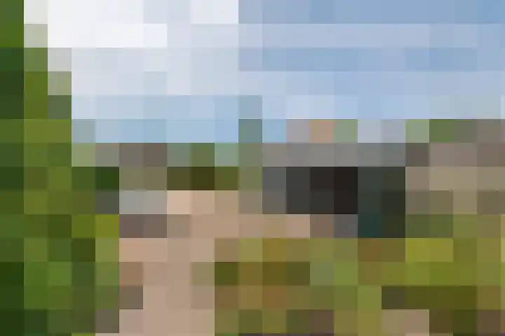 Oudsmidsestraat 15 Lienden thumbnail 20