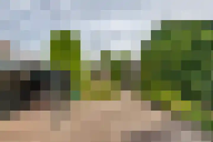 Oudsmidsestraat 15 Lienden thumbnail 21