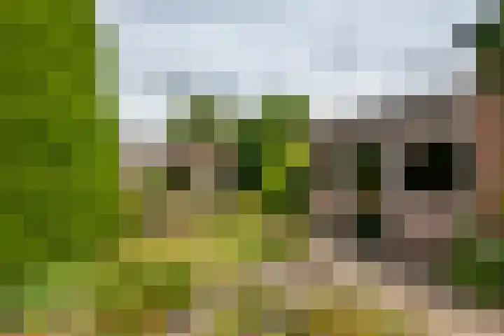 Oudsmidsestraat 15 Lienden thumbnail 22