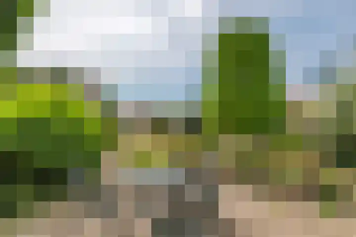 Oudsmidsestraat 15 Lienden thumbnail 23