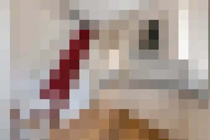 Oudsmidsestraat 15 Lienden thumbnail 25