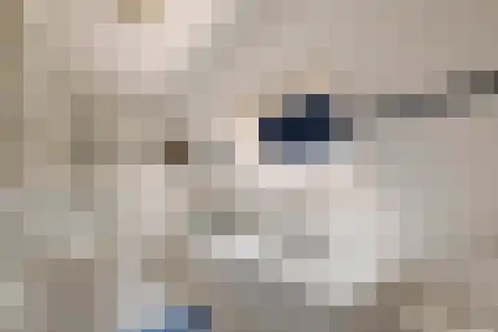 Oudsmidsestraat 15 Lienden thumbnail 33
