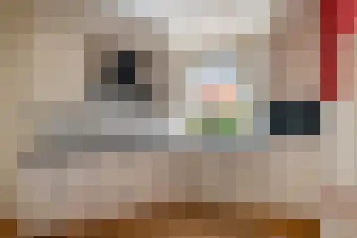 Oudsmidsestraat 15 Lienden thumbnail 4