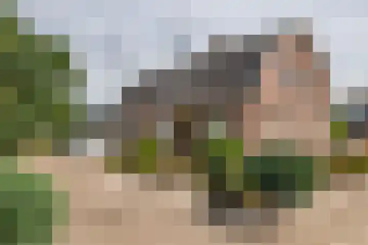 Oudsmidsestraat 15 Lienden thumbnail 6