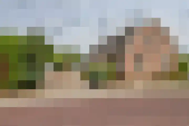 Oudsmidsestraat 15 Lienden thumbnail 7